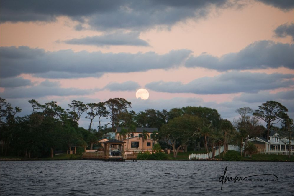 Florida- Moon