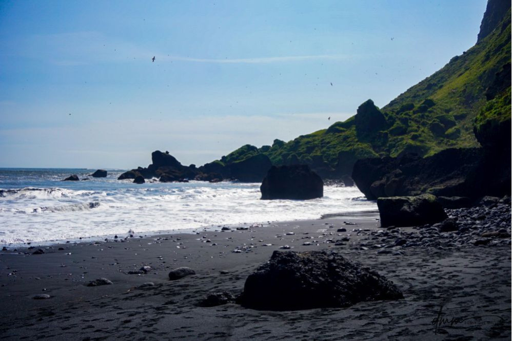 Iceland- Black Sands Beach 12