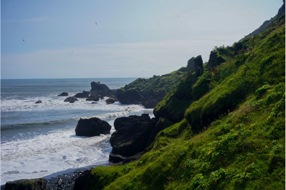 Iceland- Black Sands Beach 4