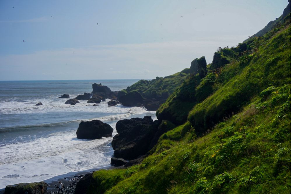 Iceland- Black Sands Beach 4