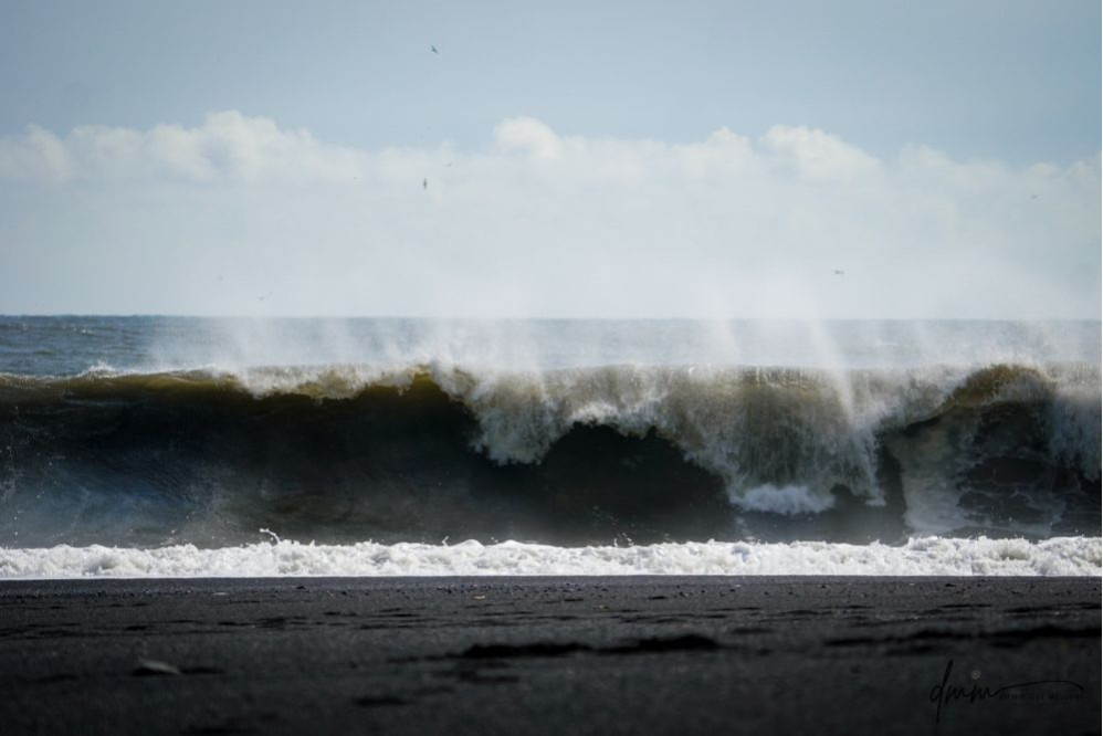 Iceland- Black Sands Beach 6