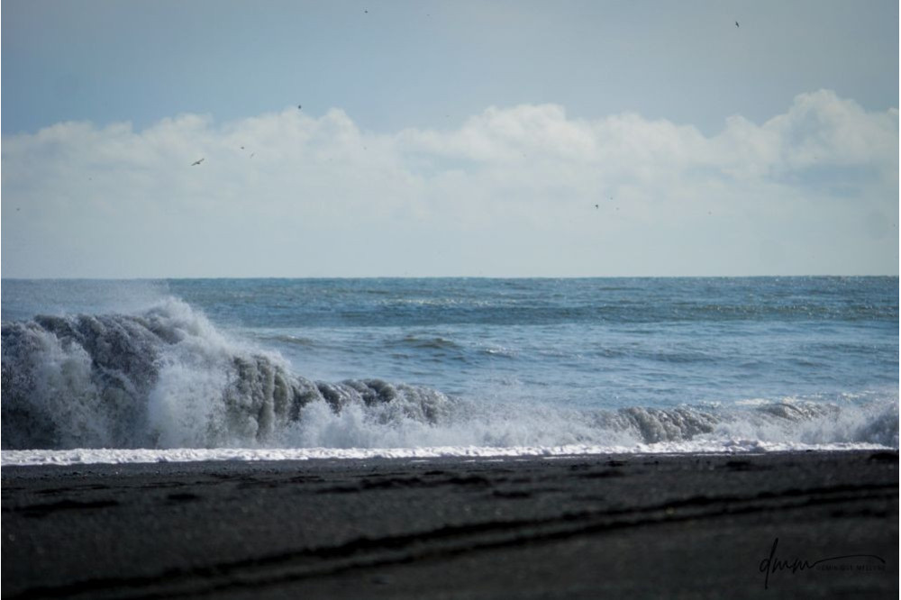 Iceland- Black Sands Beach 7