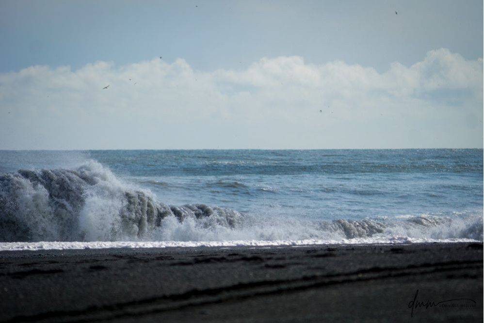 Iceland- Black Sands Beach 7