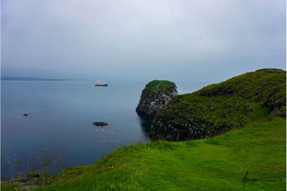 Iceland- Cliffs 2