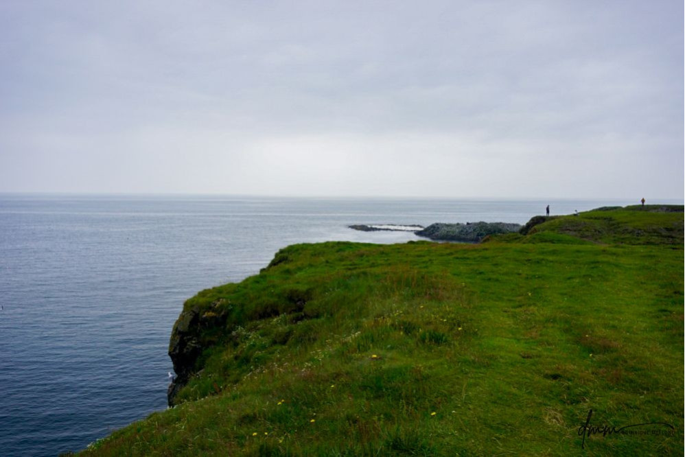 Iceland- Cliffs 5