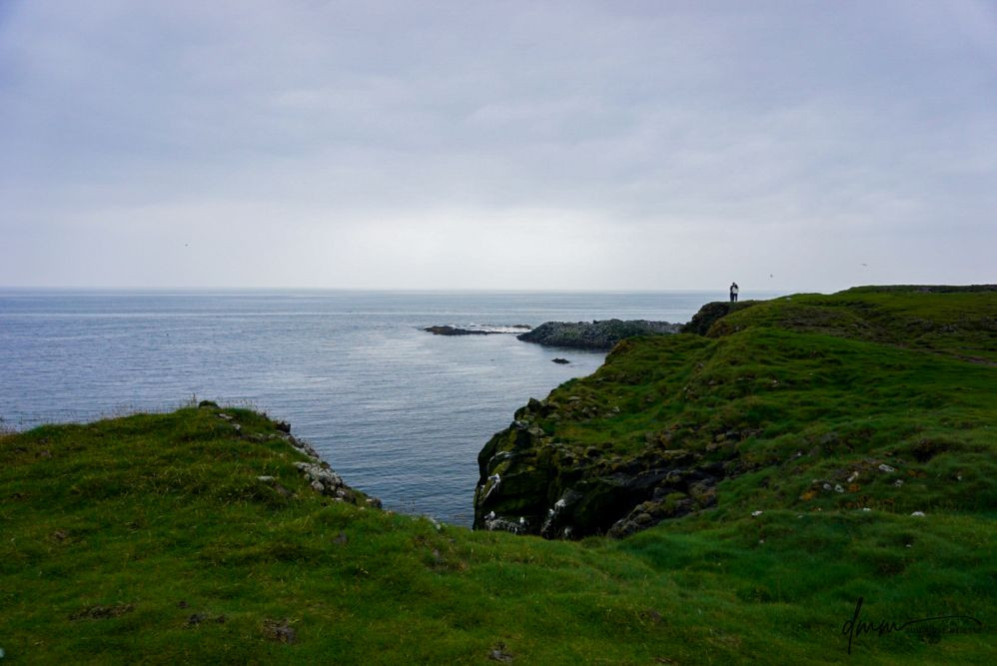 Iceland- Cliffs 6