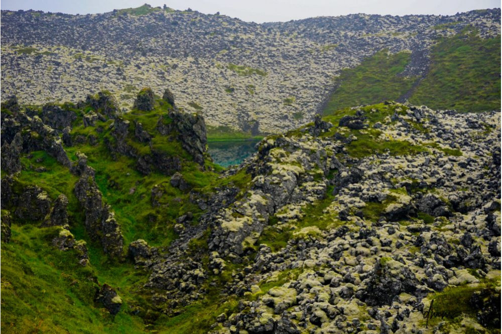 Iceland- Lava Rock Field 1