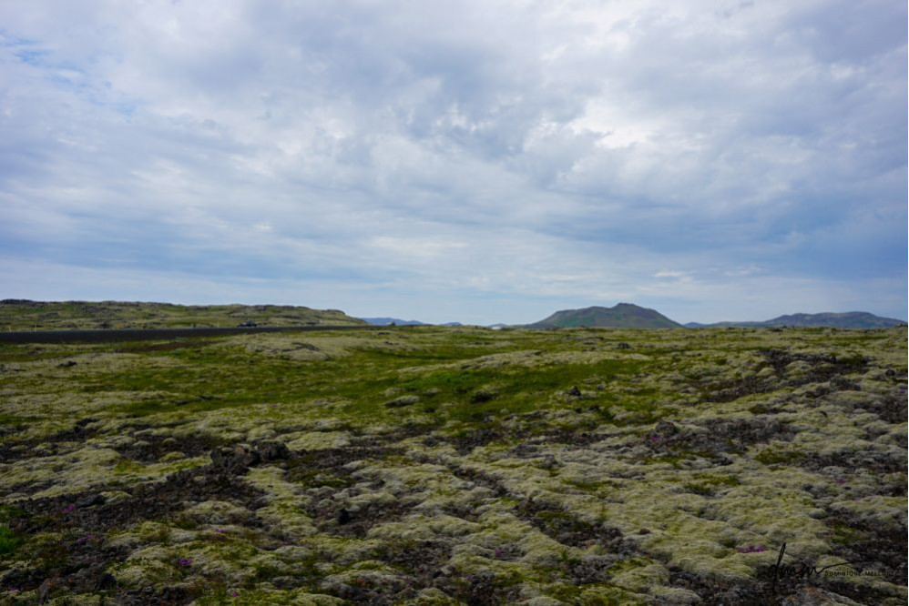 Iceland- Lava Rock Field 2