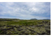 Iceland- Lava Rock Field 2