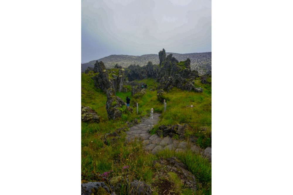 Iceland- Lava Rock Field 3