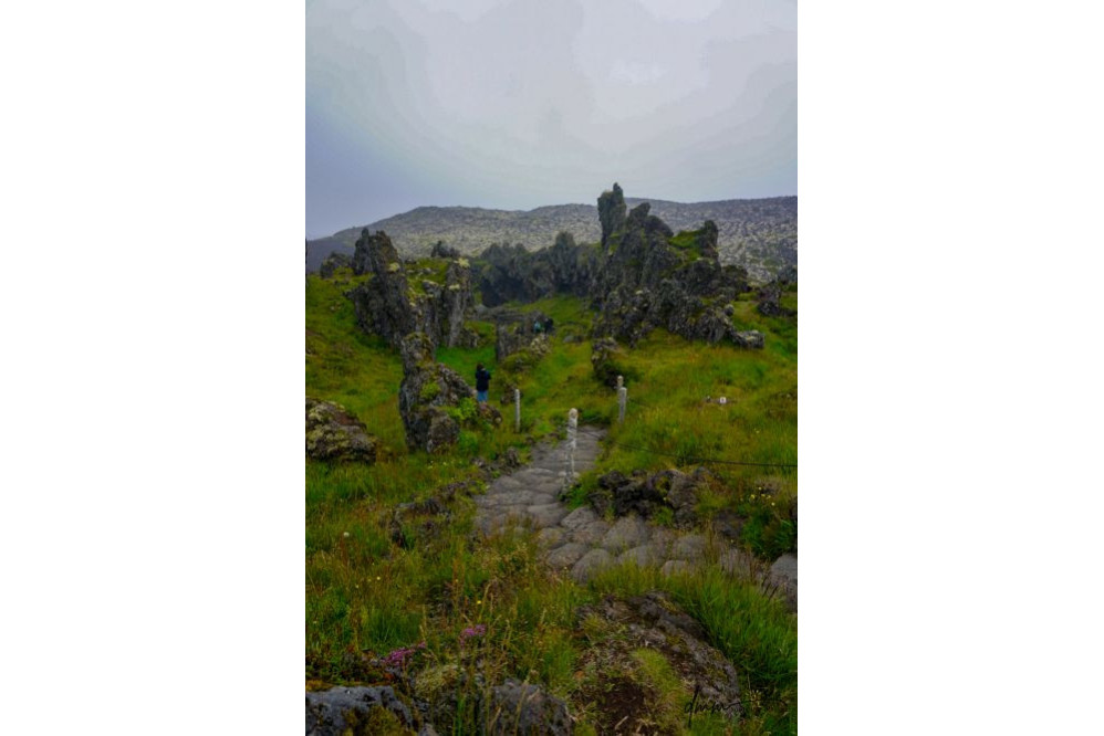 Iceland- Lava Rock Field 3