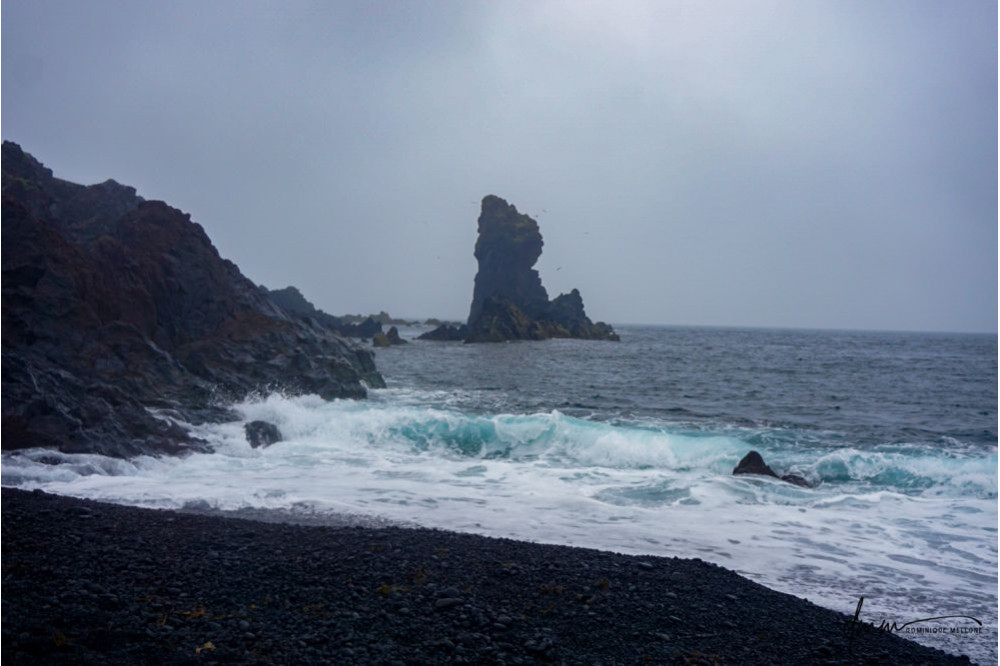Iceland- Rocky Beach 2