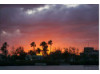 Florida- Sunset 9