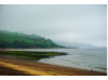 Scotland- Beach