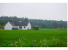 Scotland- Farmhouse