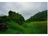 Scotland- Plains 2