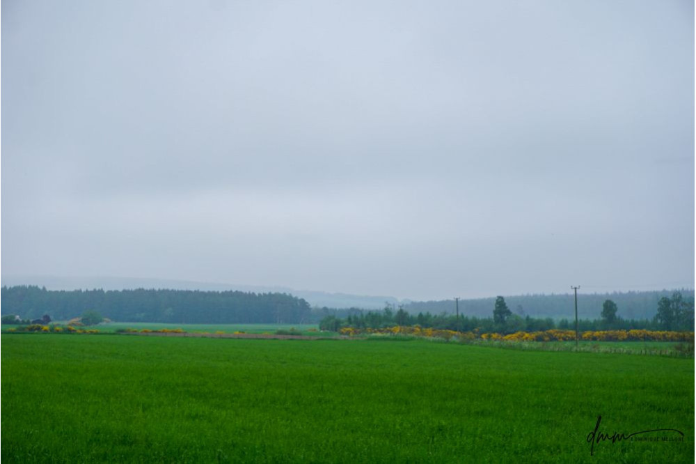 Scotland- Plains 4