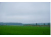 Scotland- Plains 4
