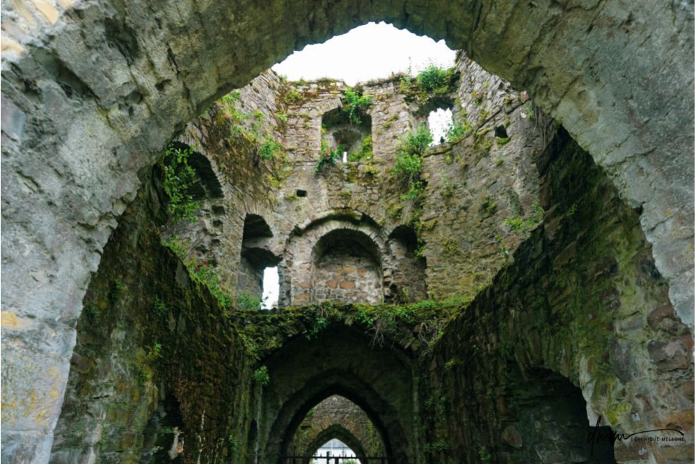 Ireland- Castle 1