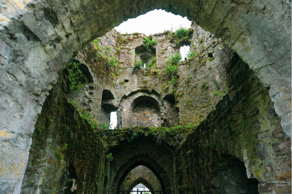 Ireland- Castle 1