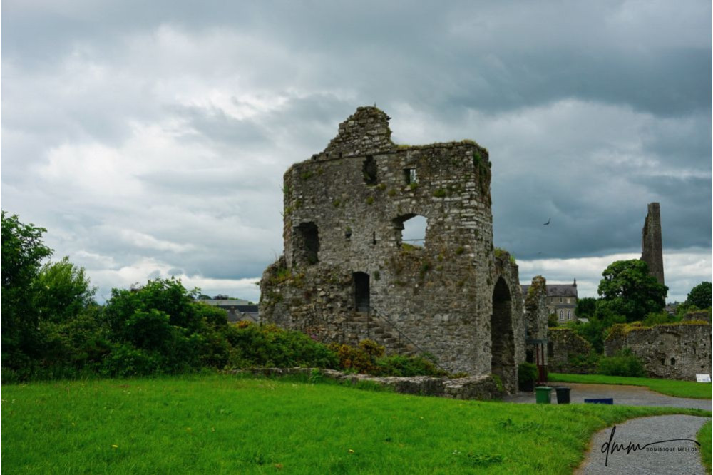 Ireland- Castle 2