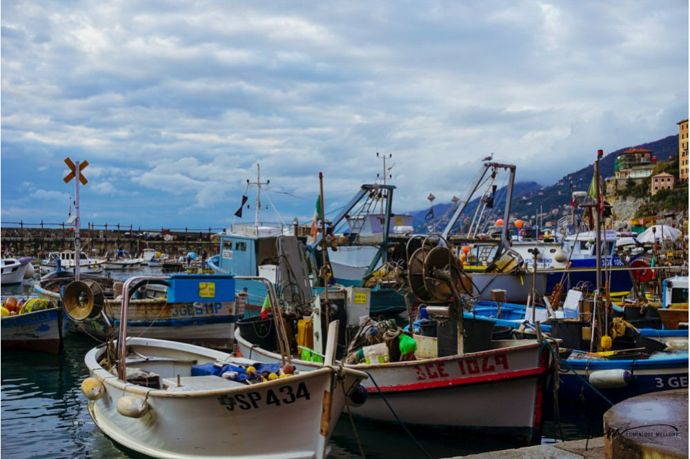 Italy- Camogli Boats 1