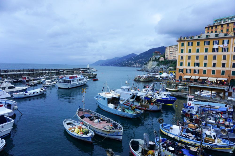 Italy- Camogli Boats 2