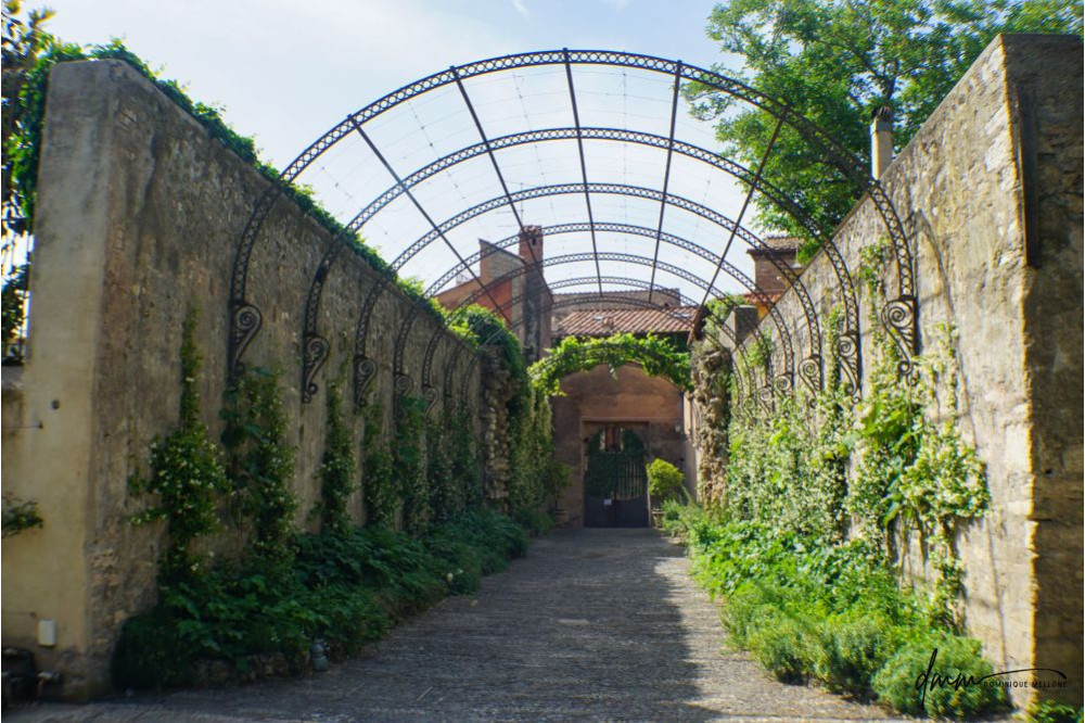 Italy- Tivoli Gardens 2