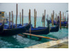 Italy- Venice Gondolas 2