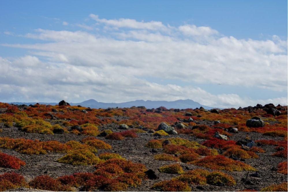 Galápagos Islands 10