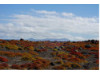 Galápagos Islands 10