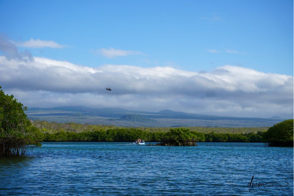 Galápagos Islands 2