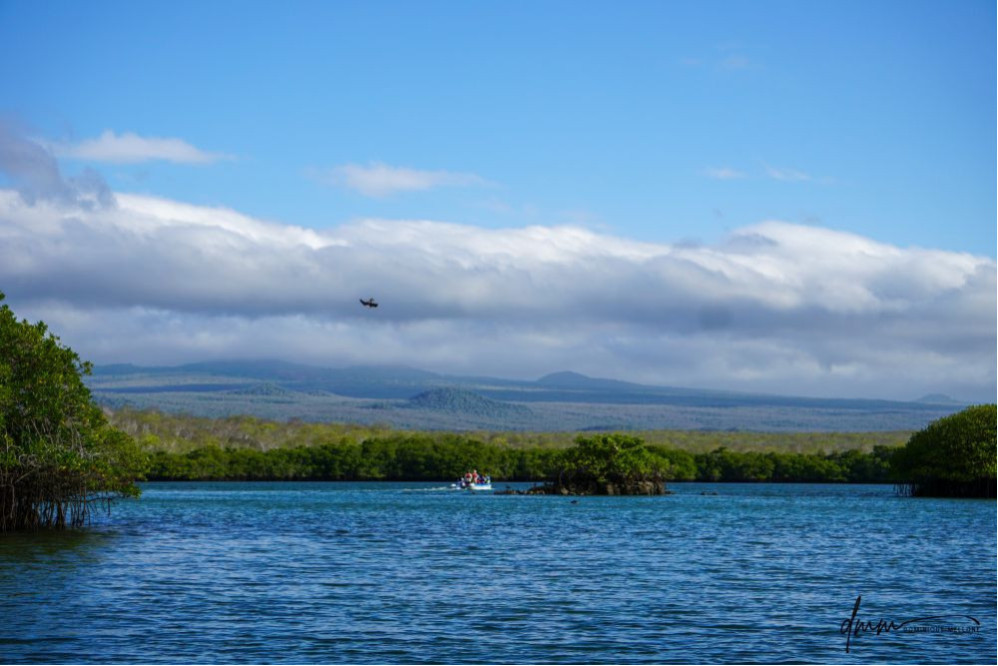 Galápagos Islands 2