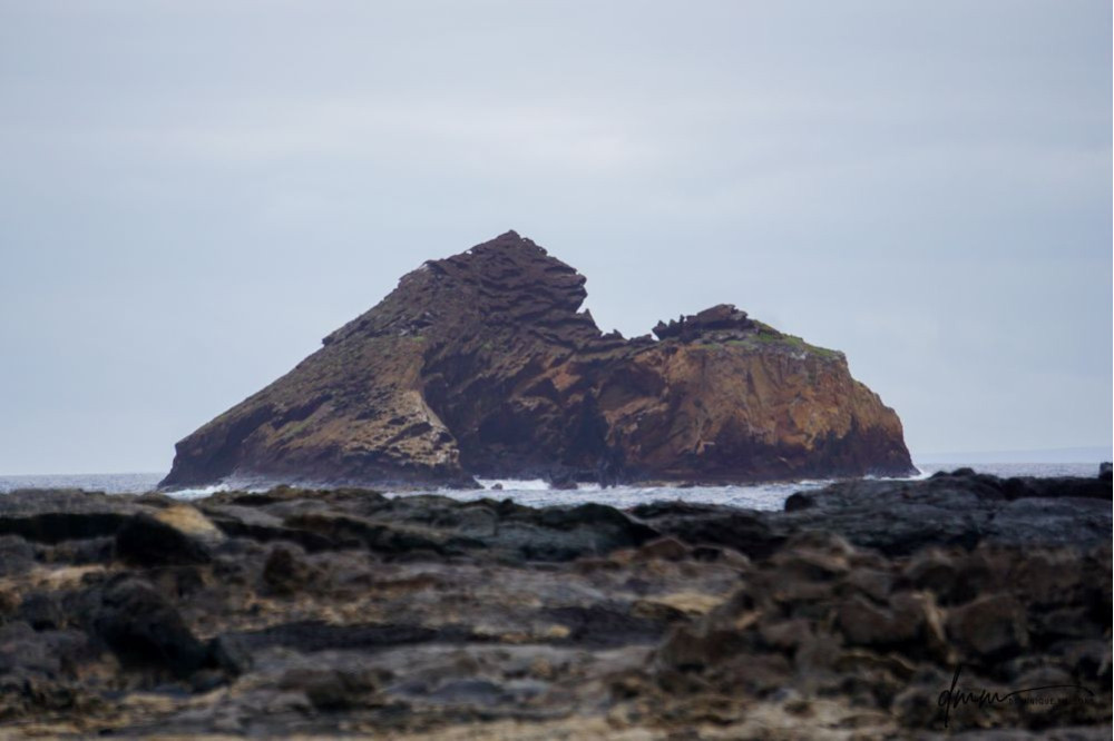 Galápagos Islands 3