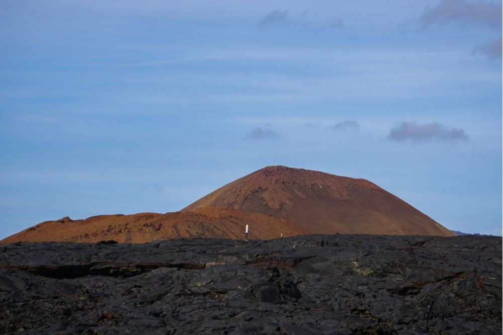Galápagos Islands 4