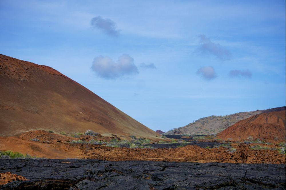 Galápagos Islands 5
