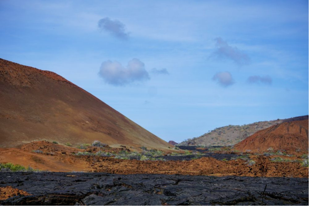 Galápagos Islands 5