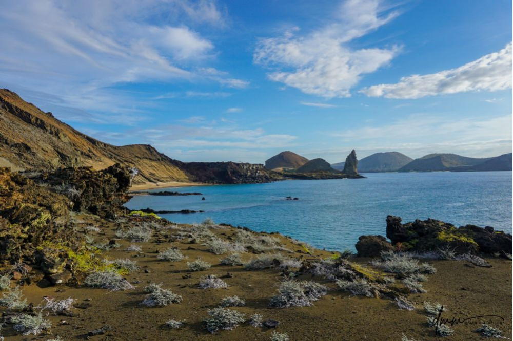 Galápagos Islands 8