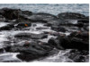 Galápagos Islands- Surf 1