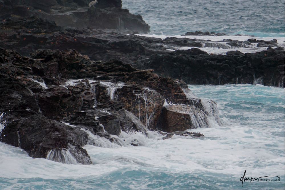 Galápagos Islands- Surf 2