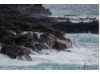 Galápagos Islands- Surf 2