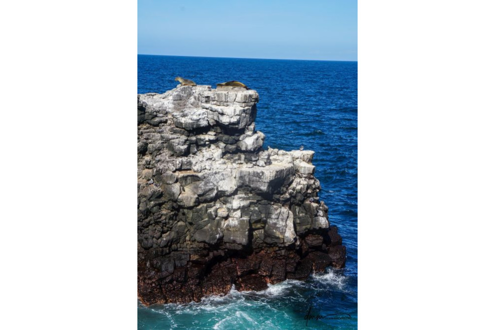 Galápagos Islands- Surf 3