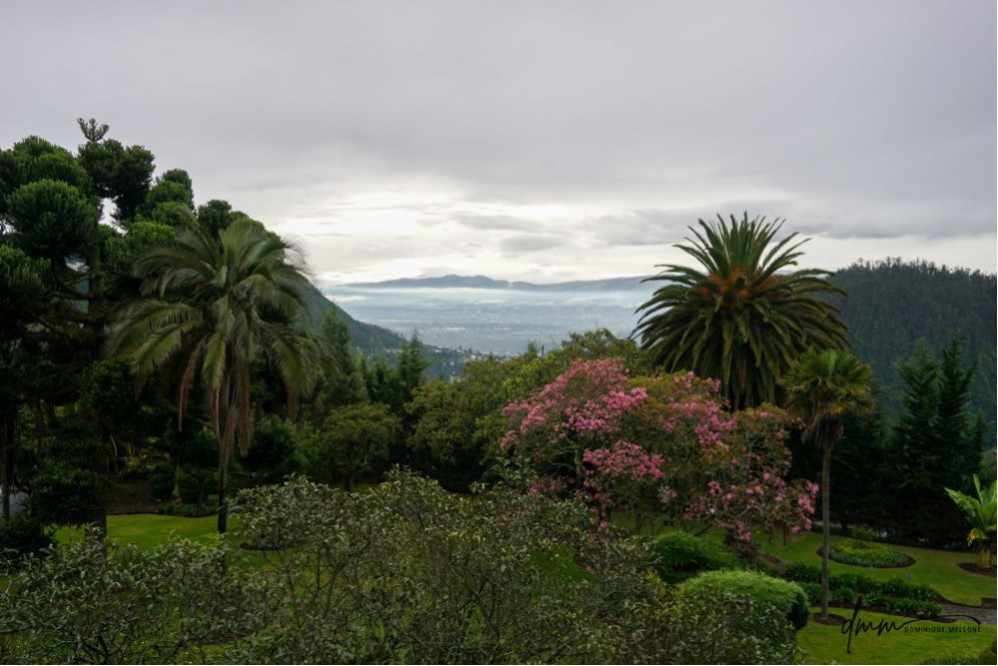 Quito 1