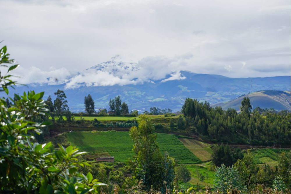 Quito 2