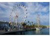 Barcelona- Pier