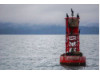 Washington State- Buoy